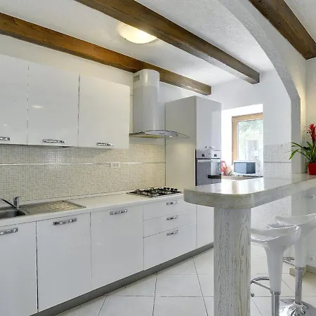 Spacious With Pool In Lupoglav Villa